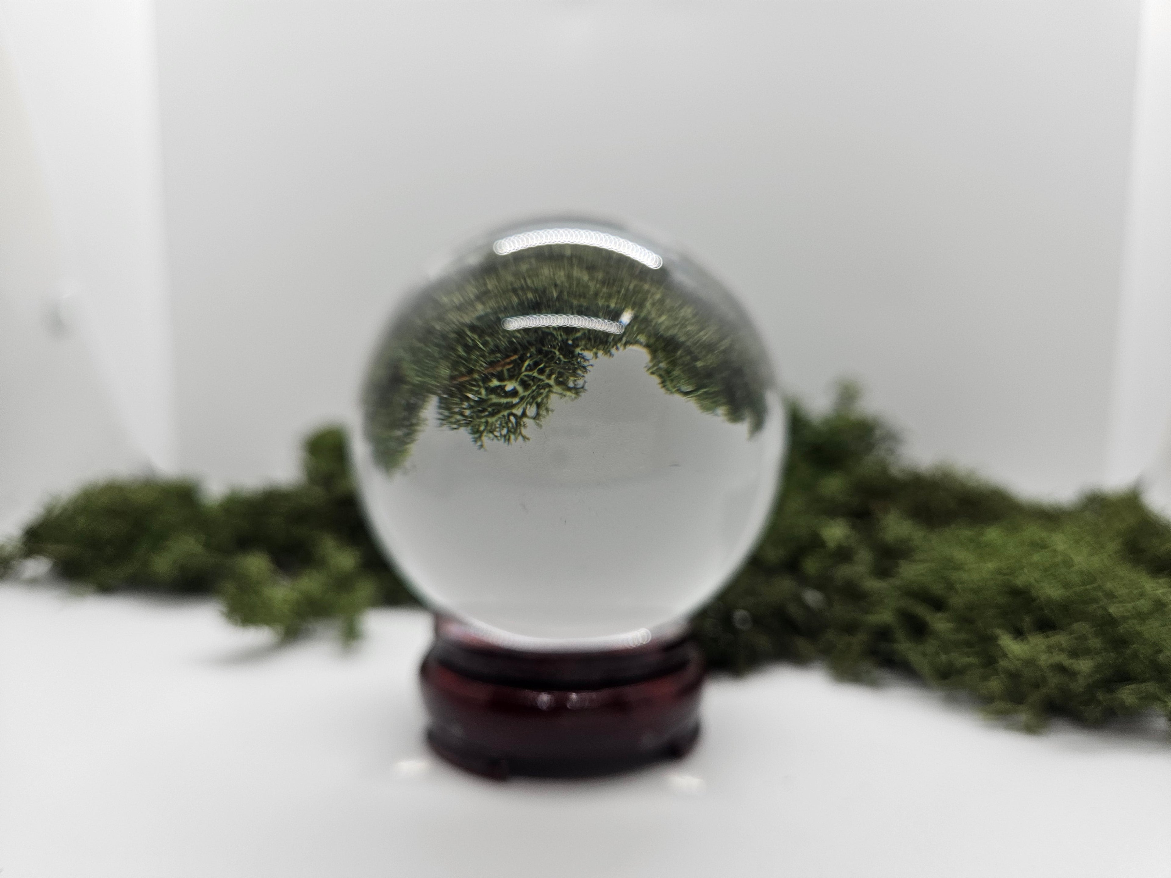 Divinasjon - Spådom - Reading