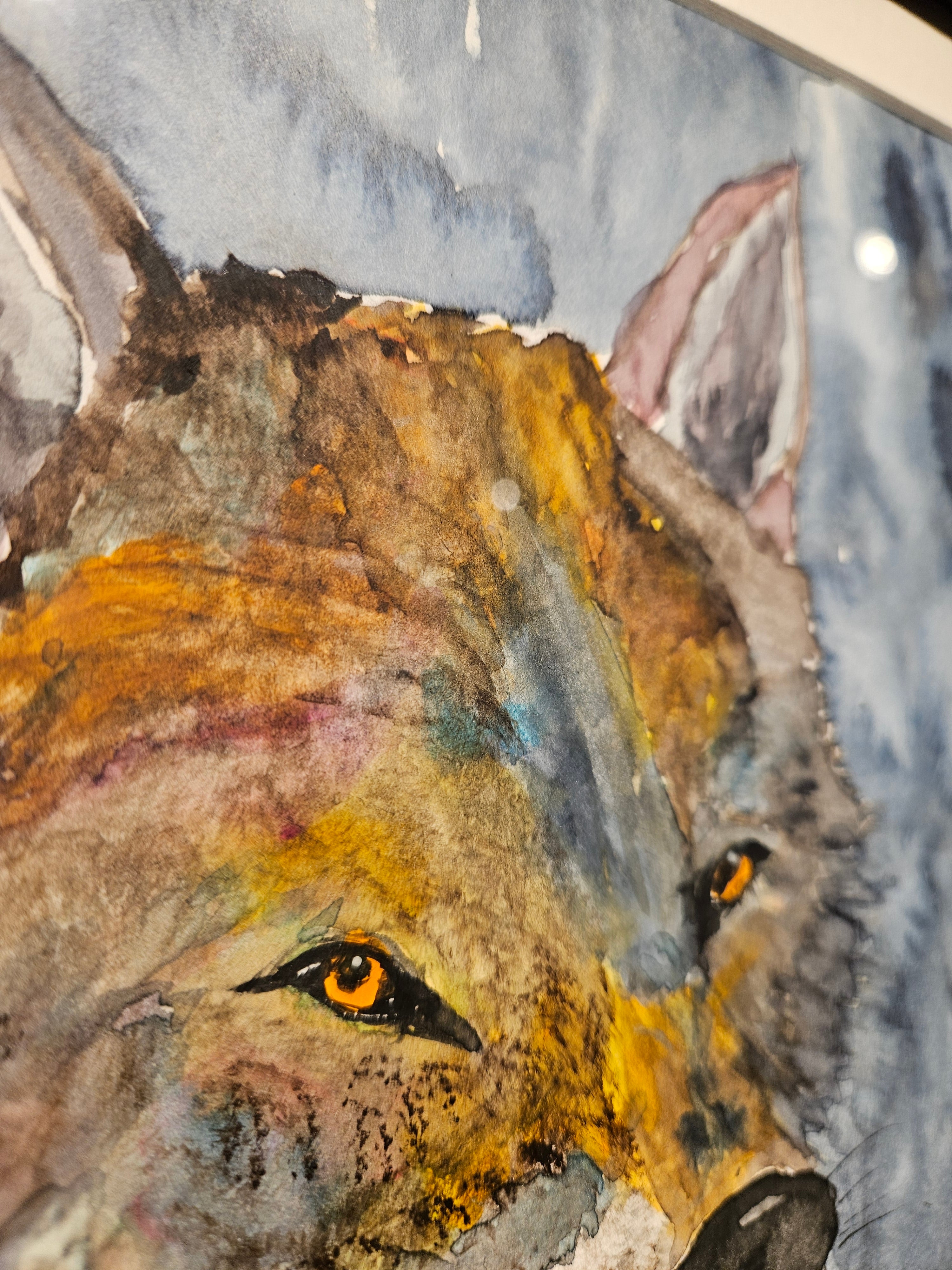 Ulv 10 - Medium Akvarell