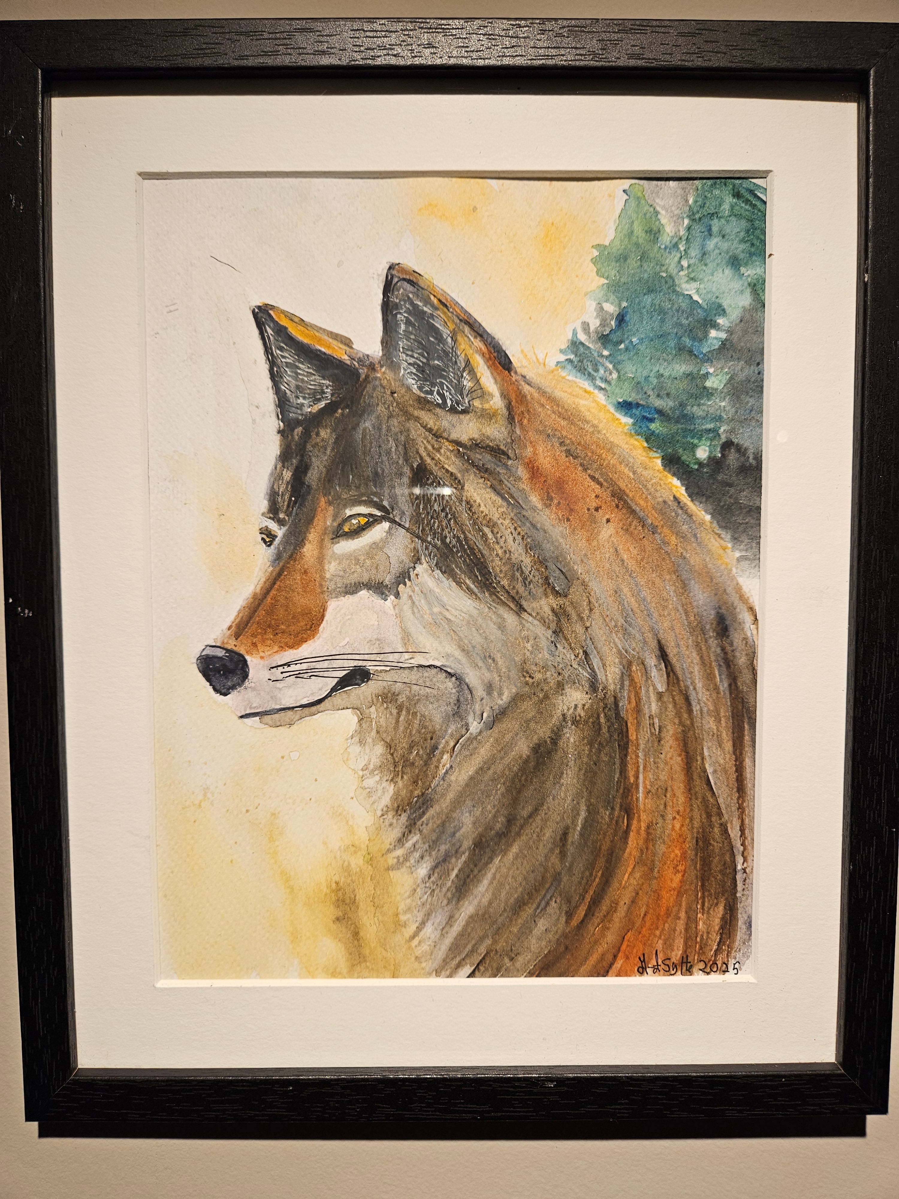 Ulv 8 - Medium Akvarell