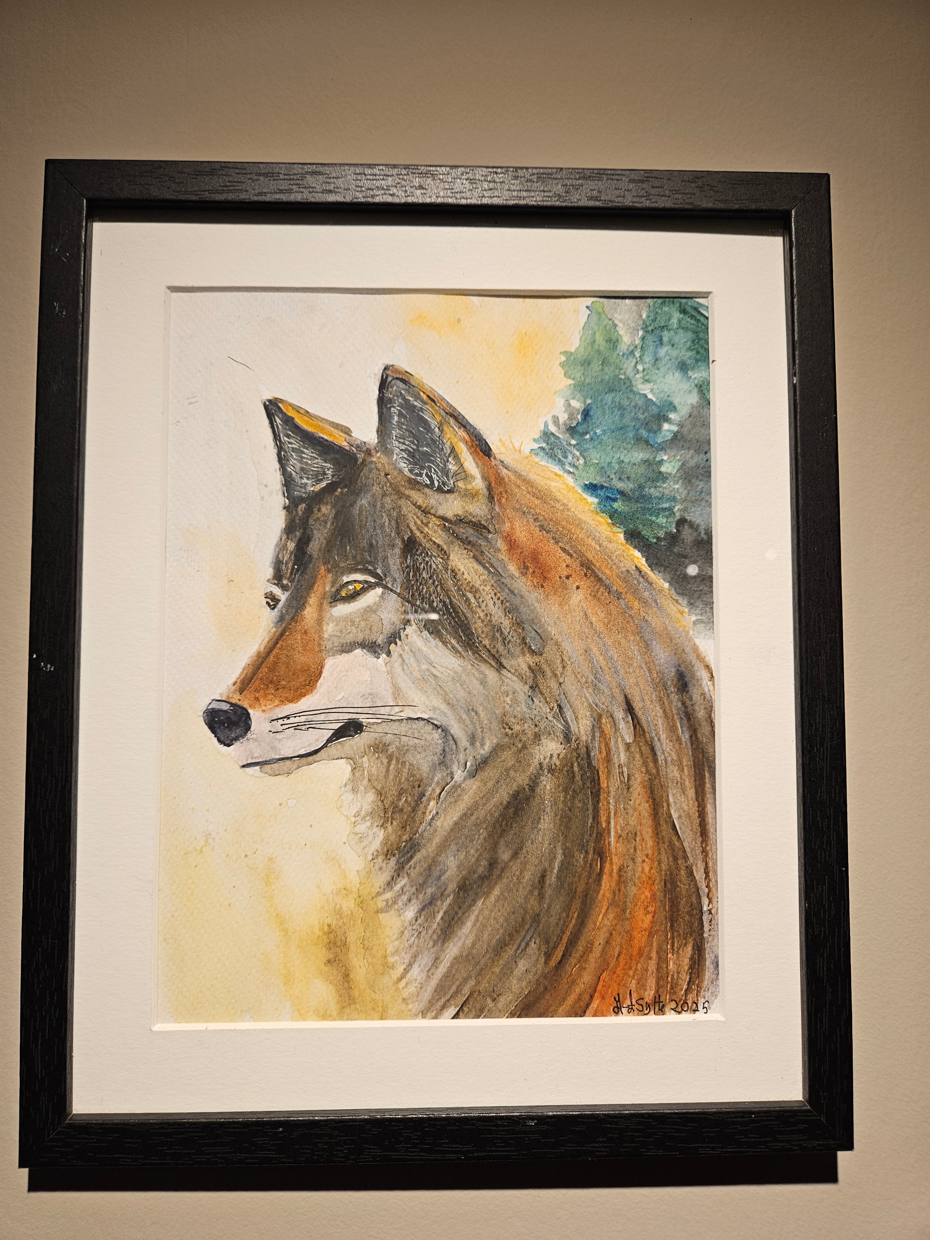 Ulv 8 - Medium Akvarell