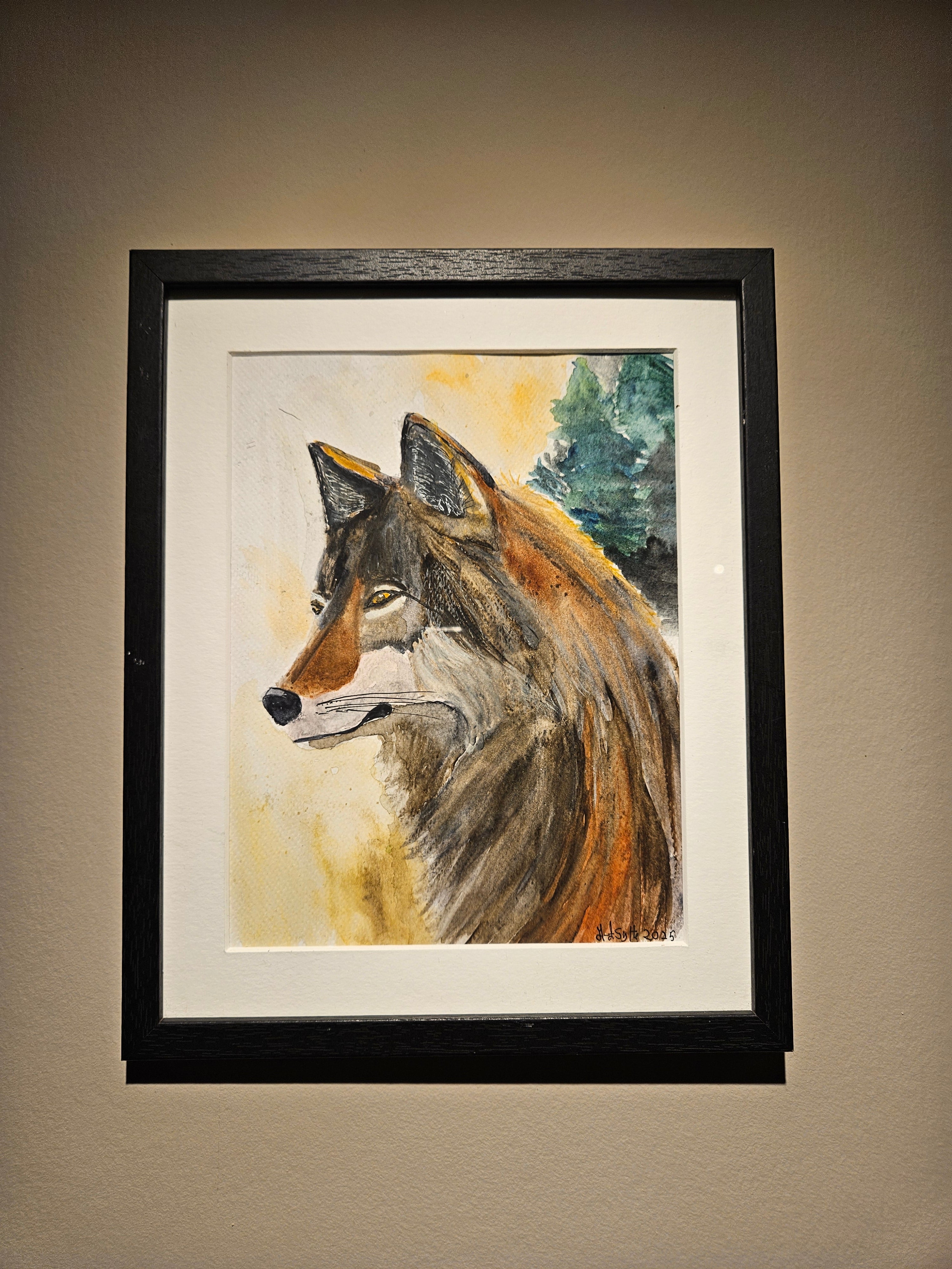 Ulv 8 - Medium Akvarell