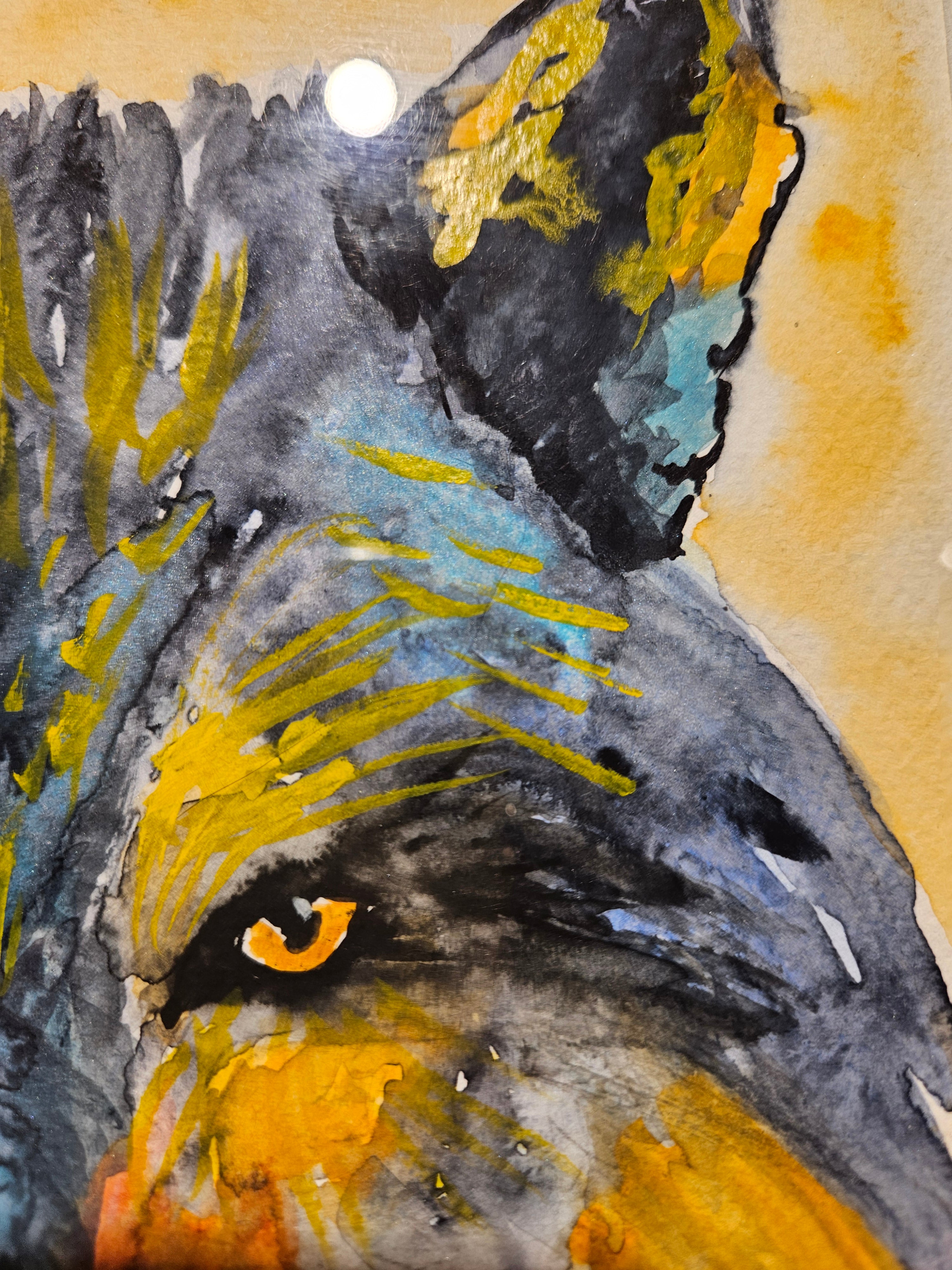 Ulv 6 - Medium Akvarell