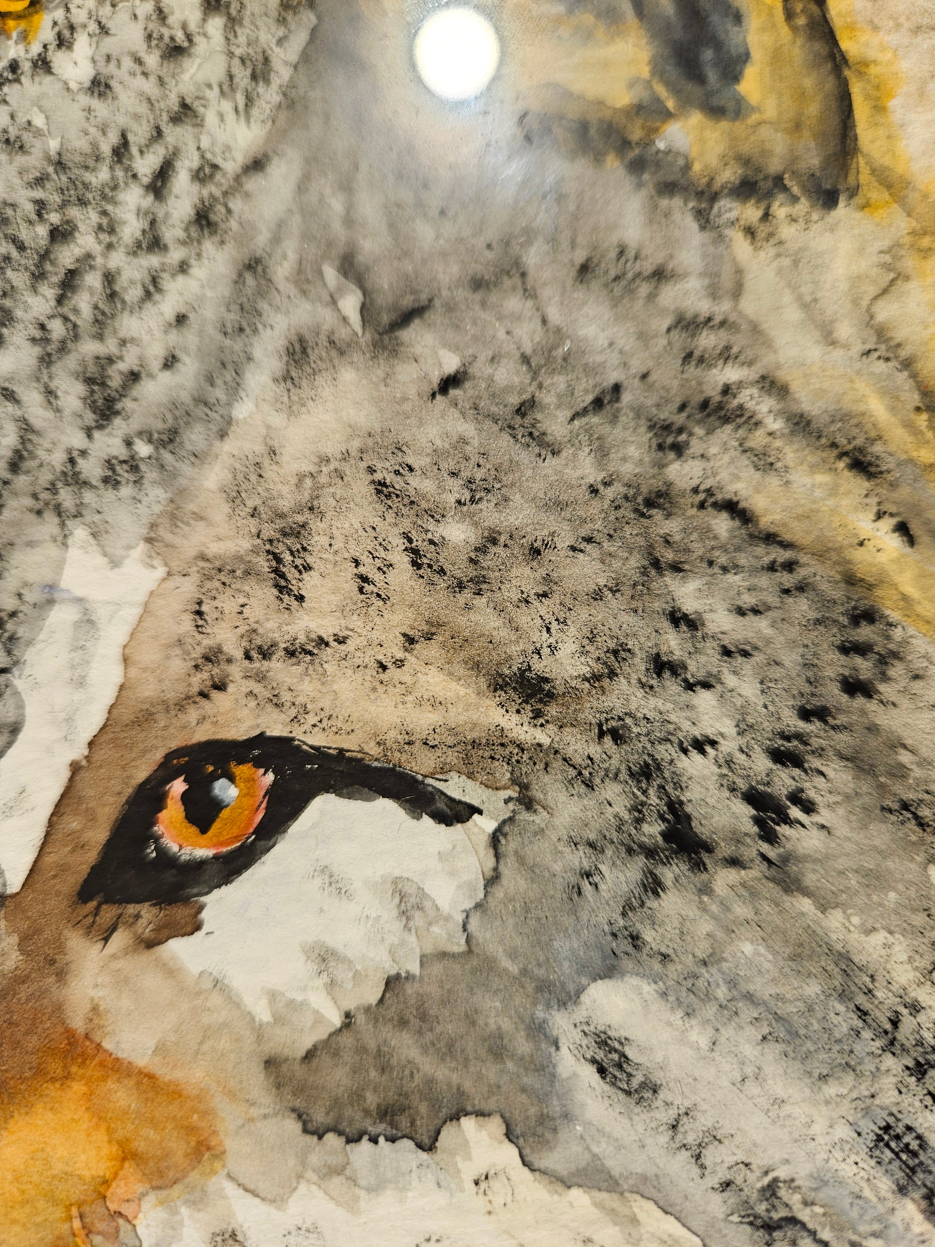 Ulv 5 - Medium Akvarell