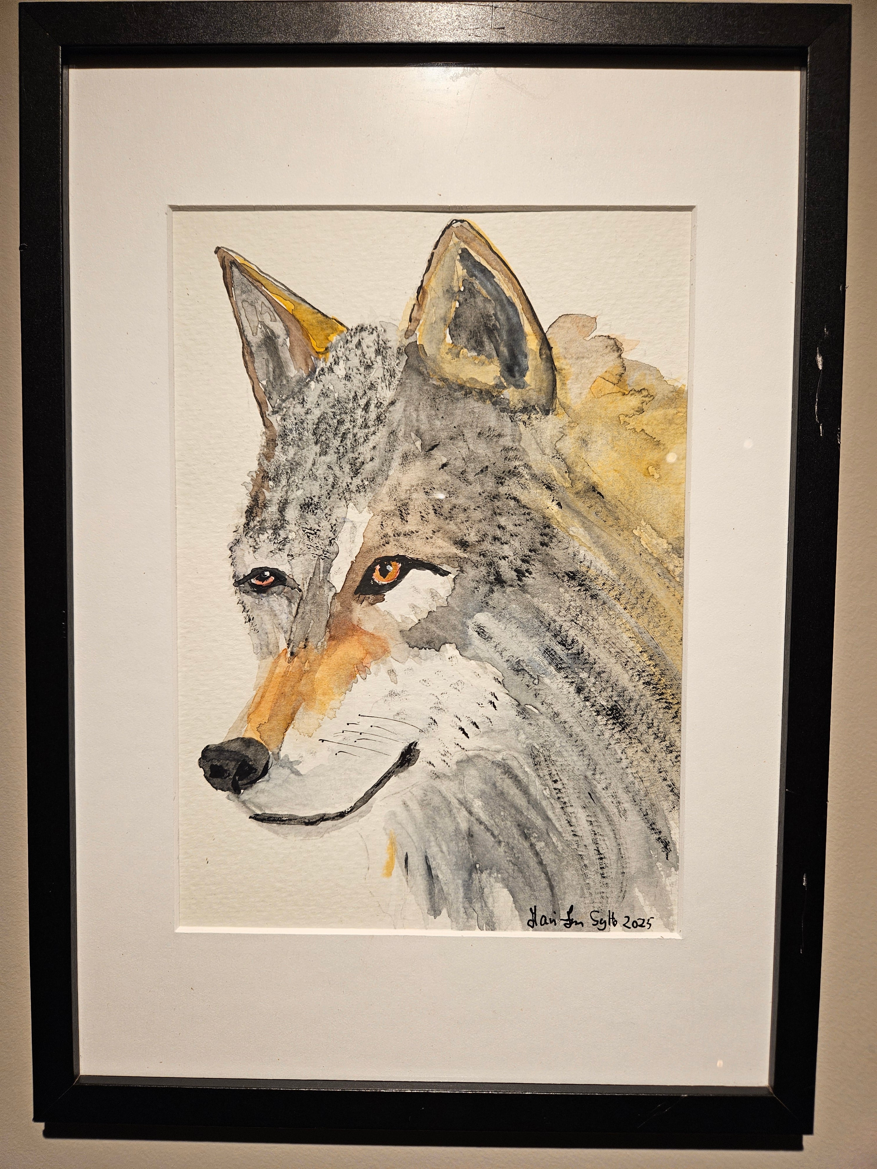 Ulv 5 - Medium Akvarell