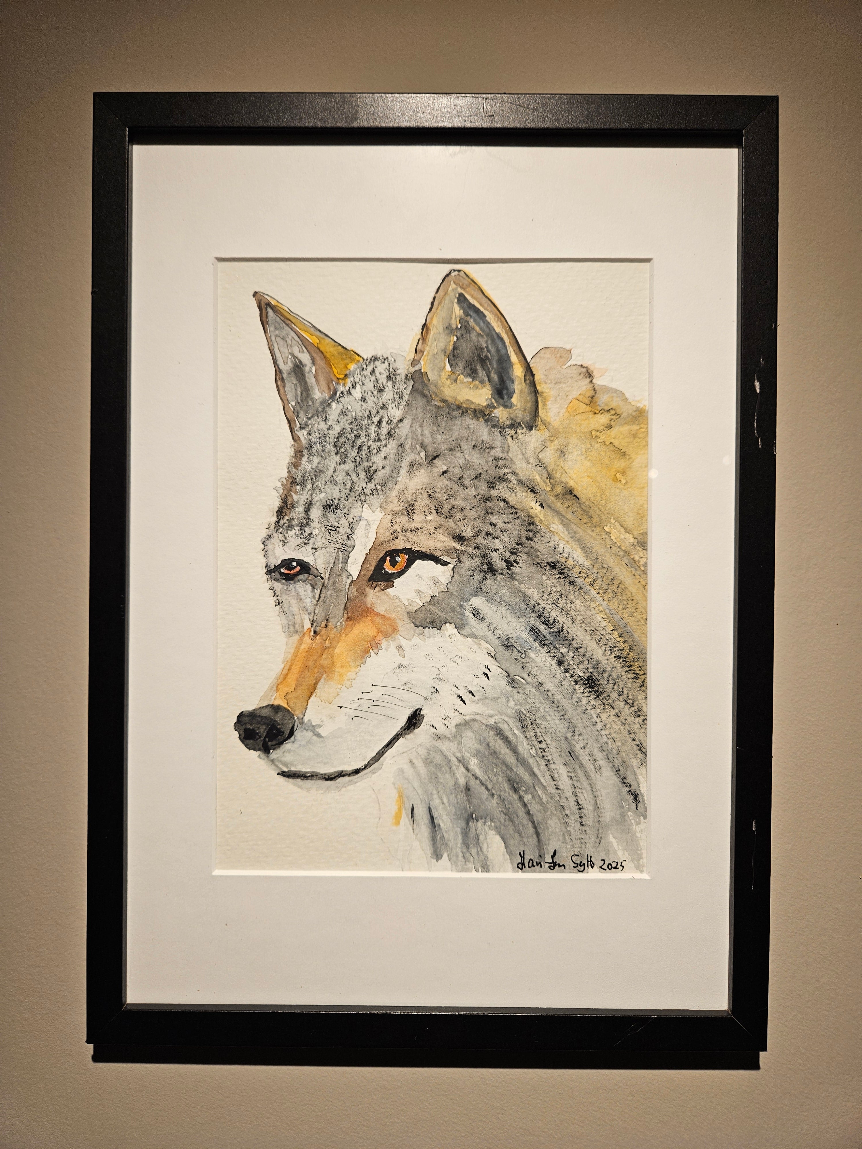 Ulv 5 - Medium Akvarell