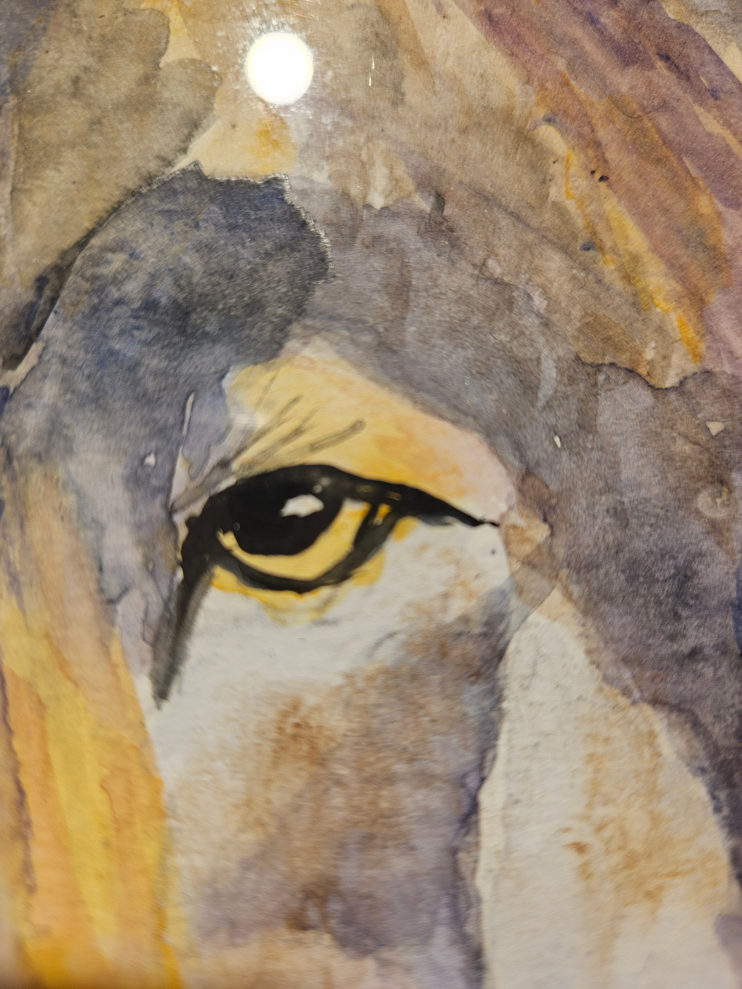 Ulv 4 - Medium Akvarell