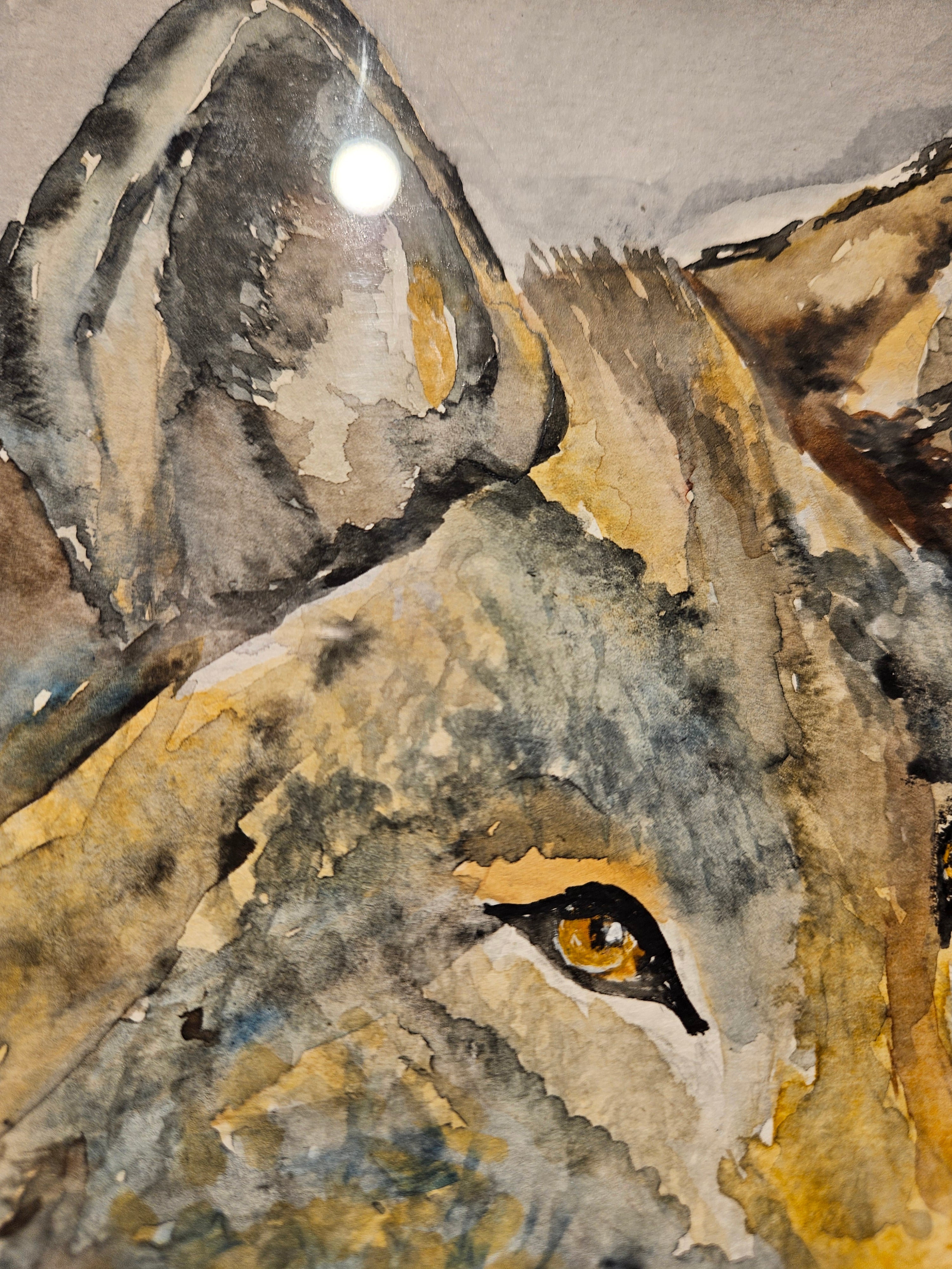 Ulv 1 - Stor Akvarell