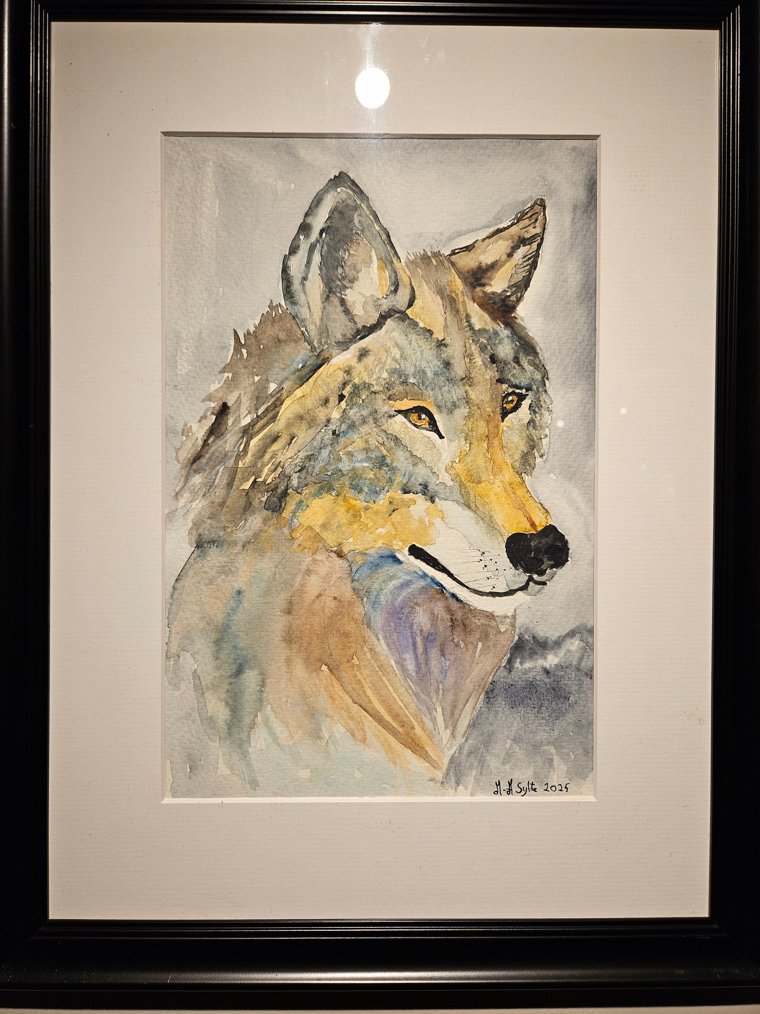 Ulv 1 - Stor Akvarell