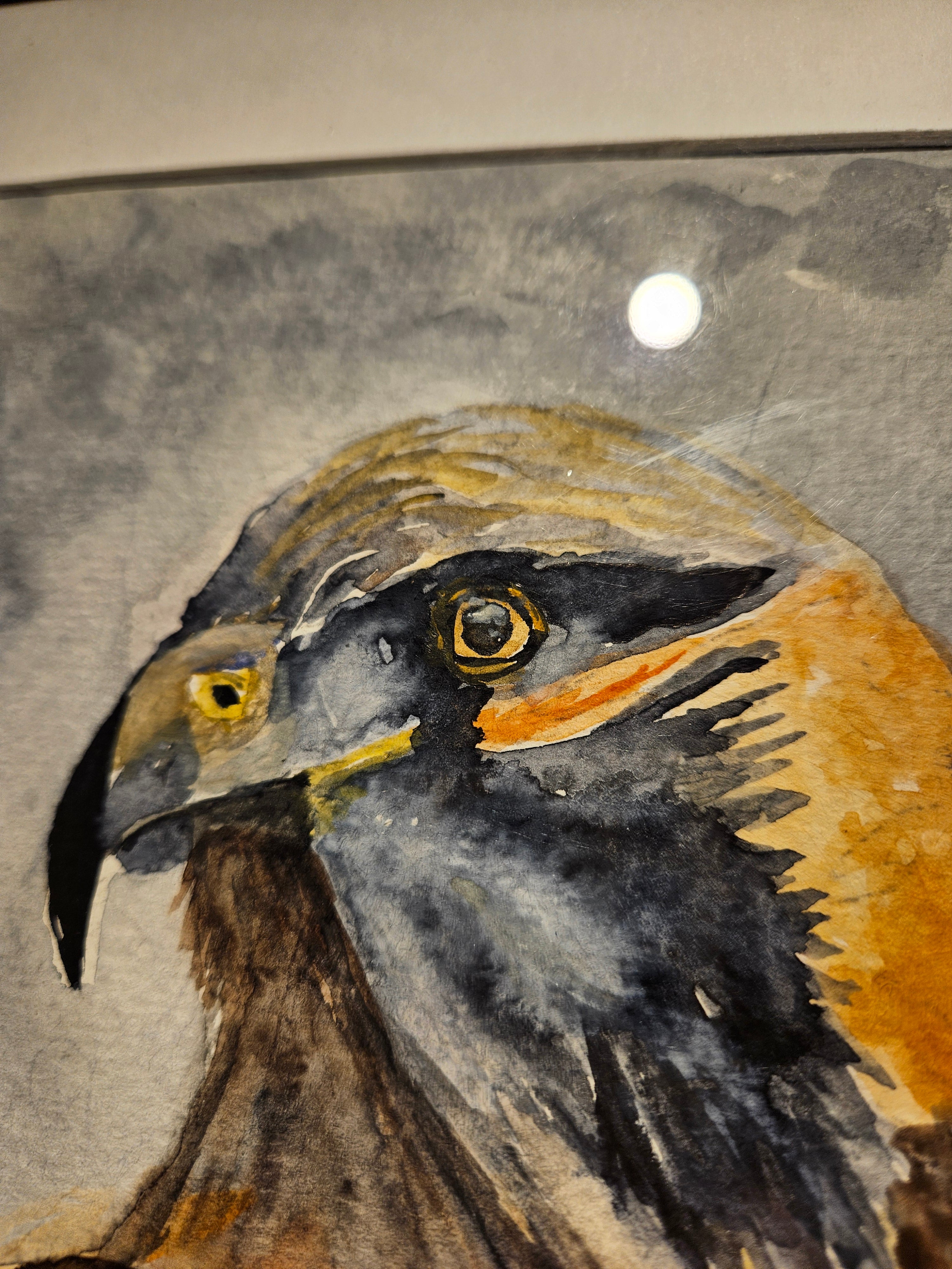 Ørn 3 - Medium Akvarell