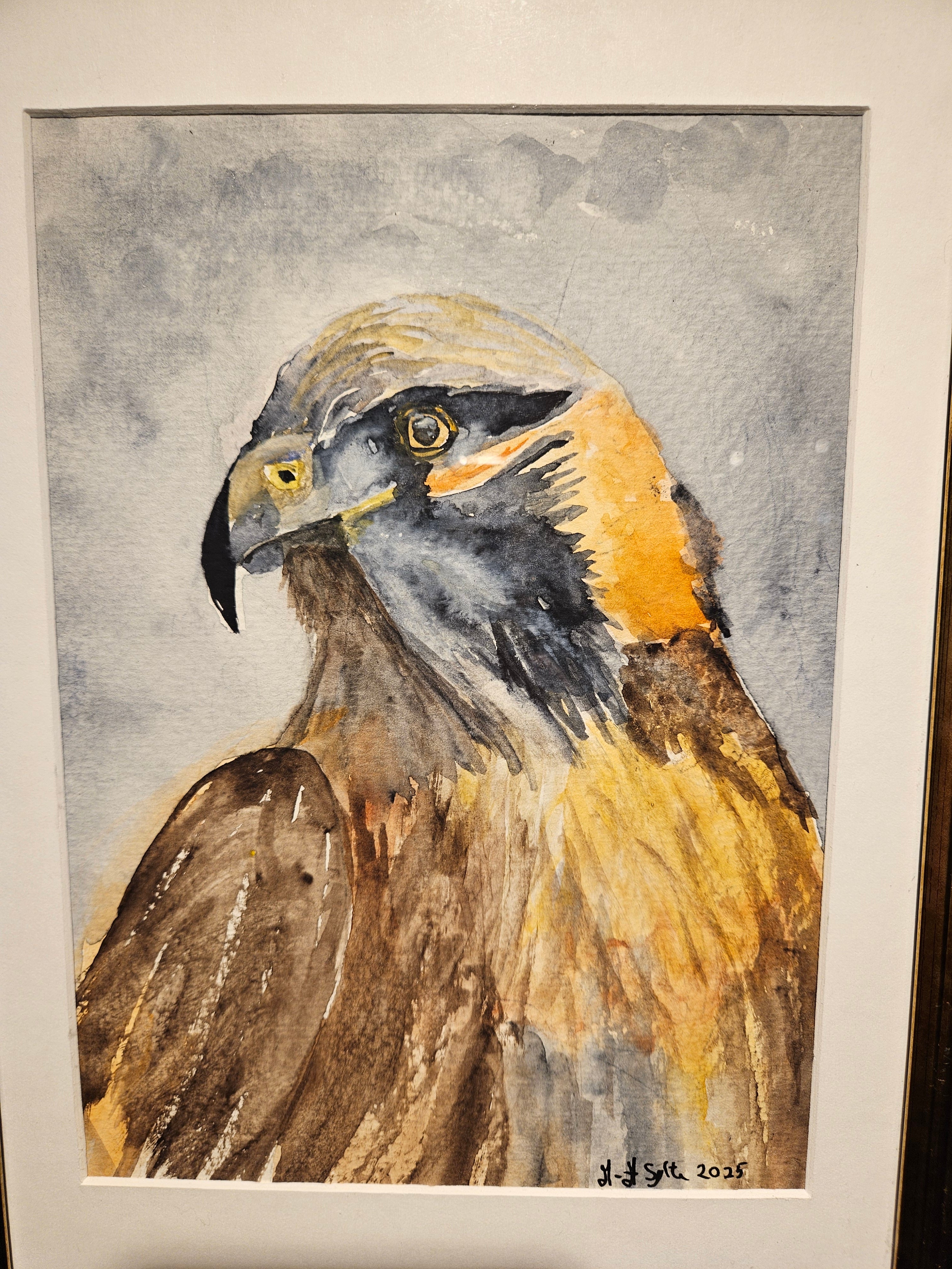 Ørn 3 - Medium Akvarell