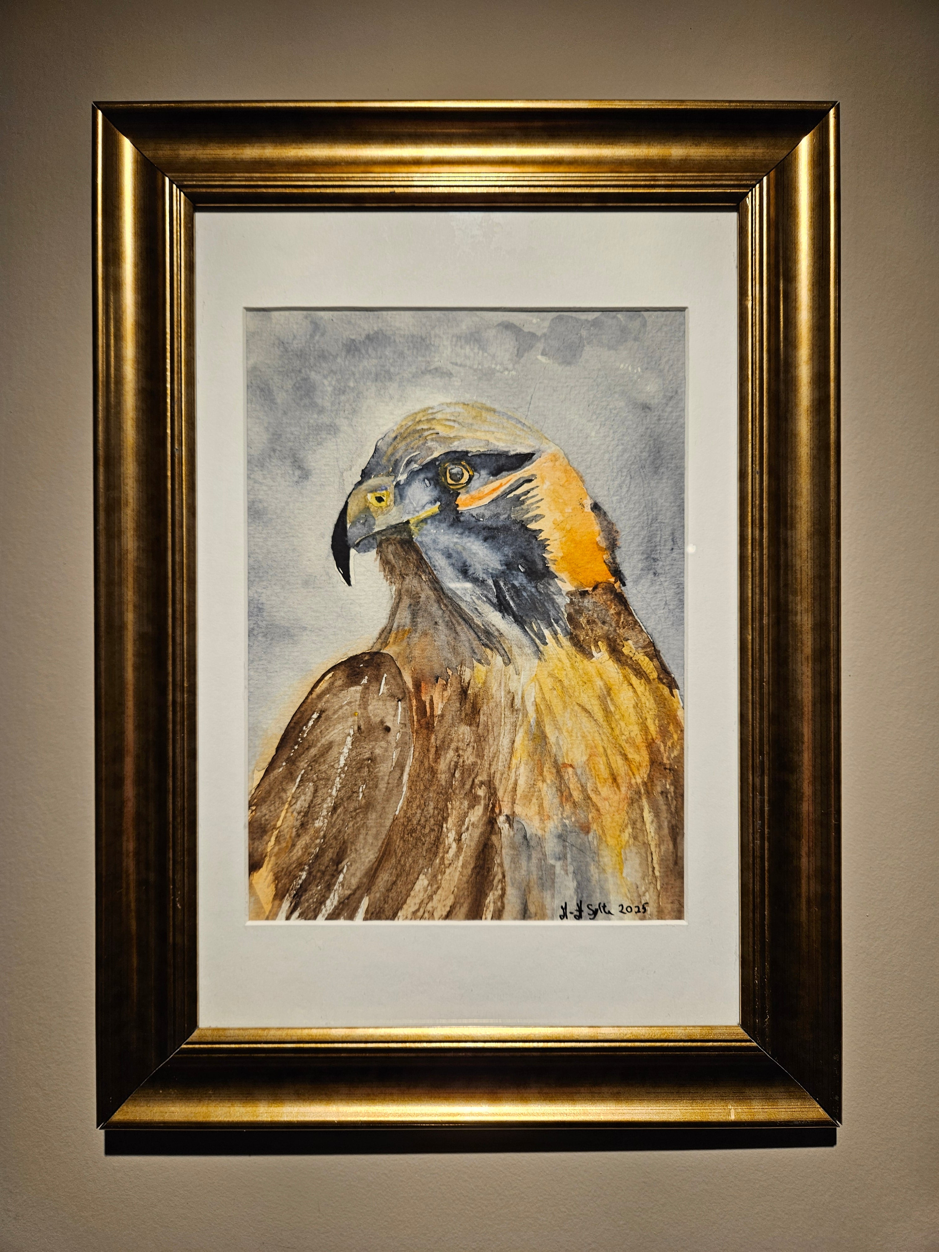 Ørn 3 - Medium Akvarell