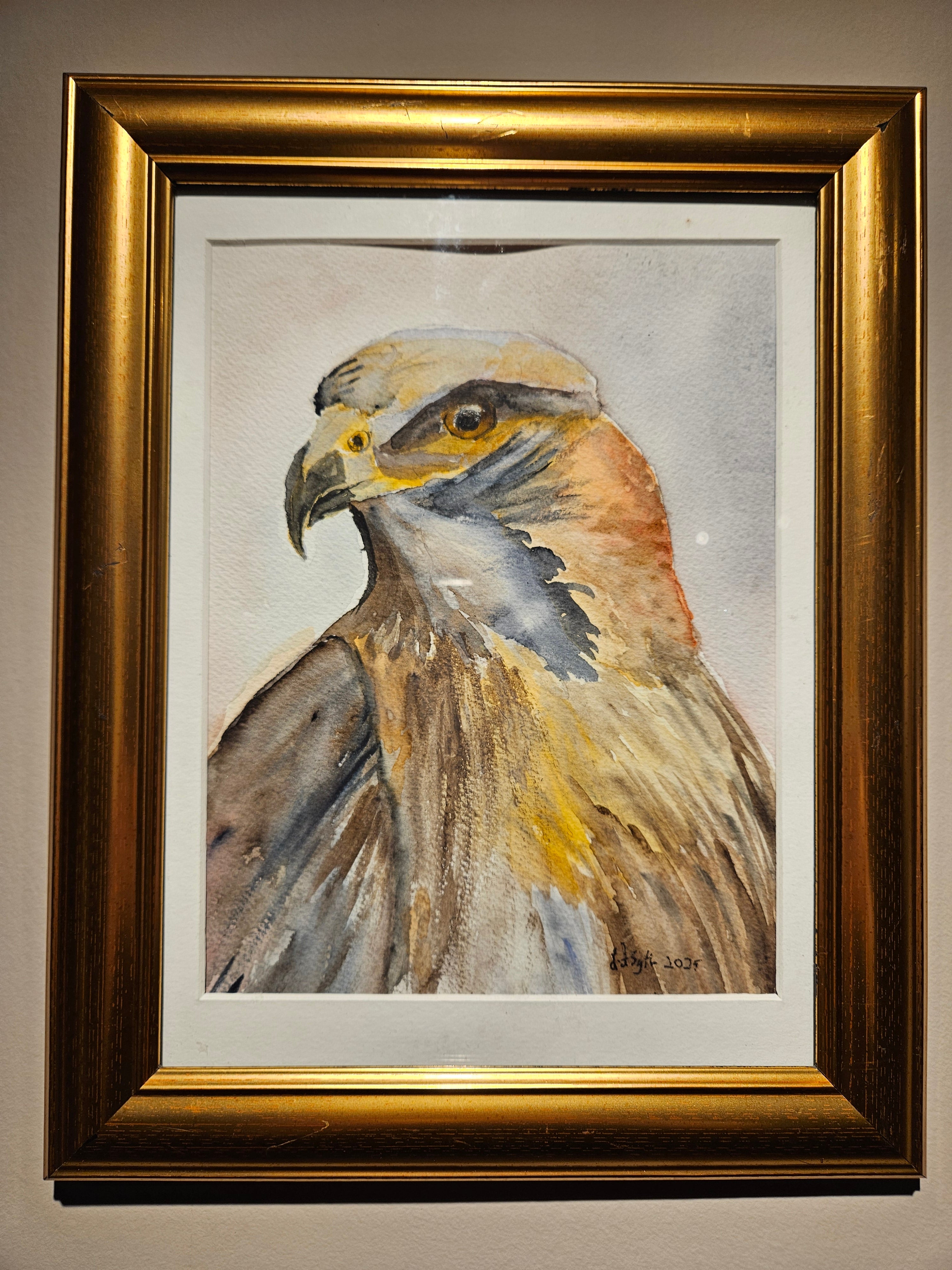 Ørn 2 - Medium Akvarell