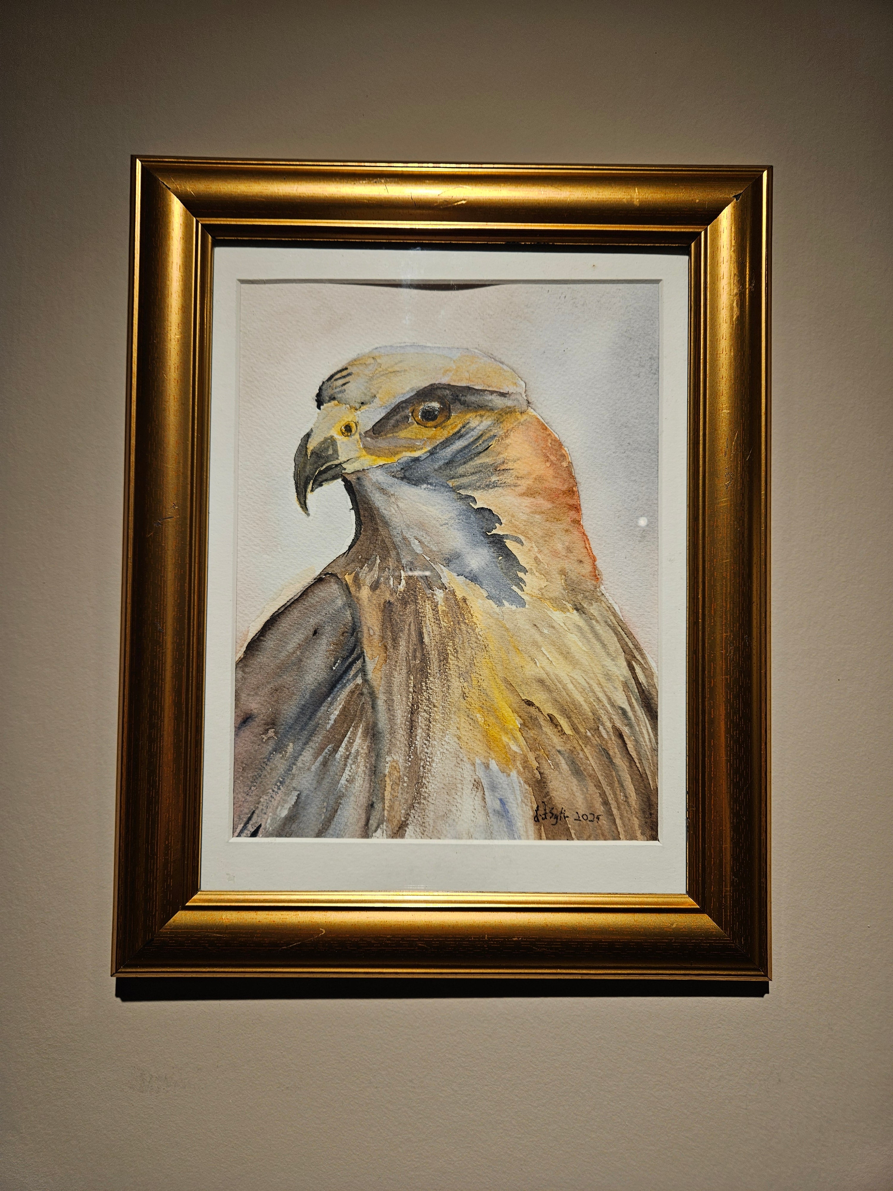 Ørn 2 - Medium Akvarell