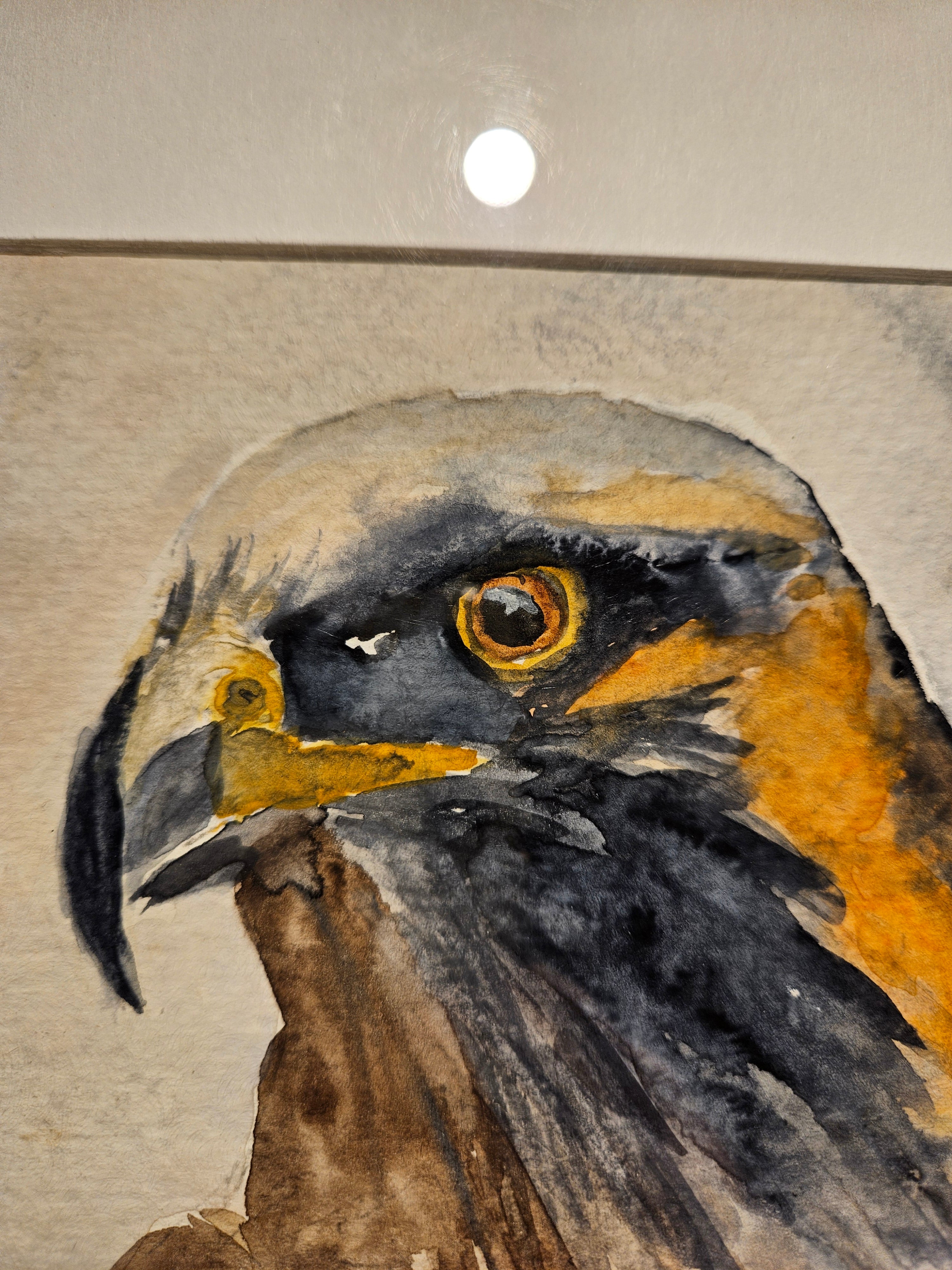 Ørn 1 - Medium Akvarell