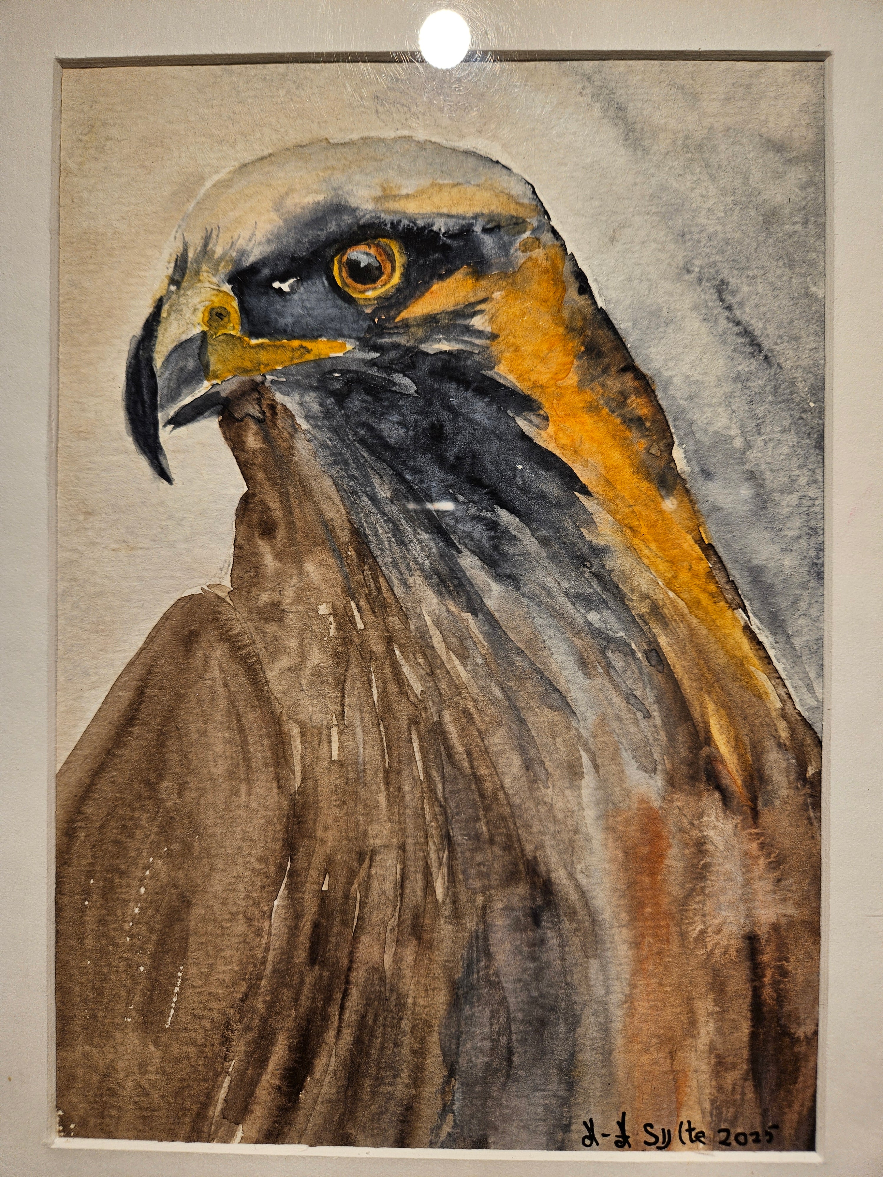 Ørn 1 - Medium Akvarell