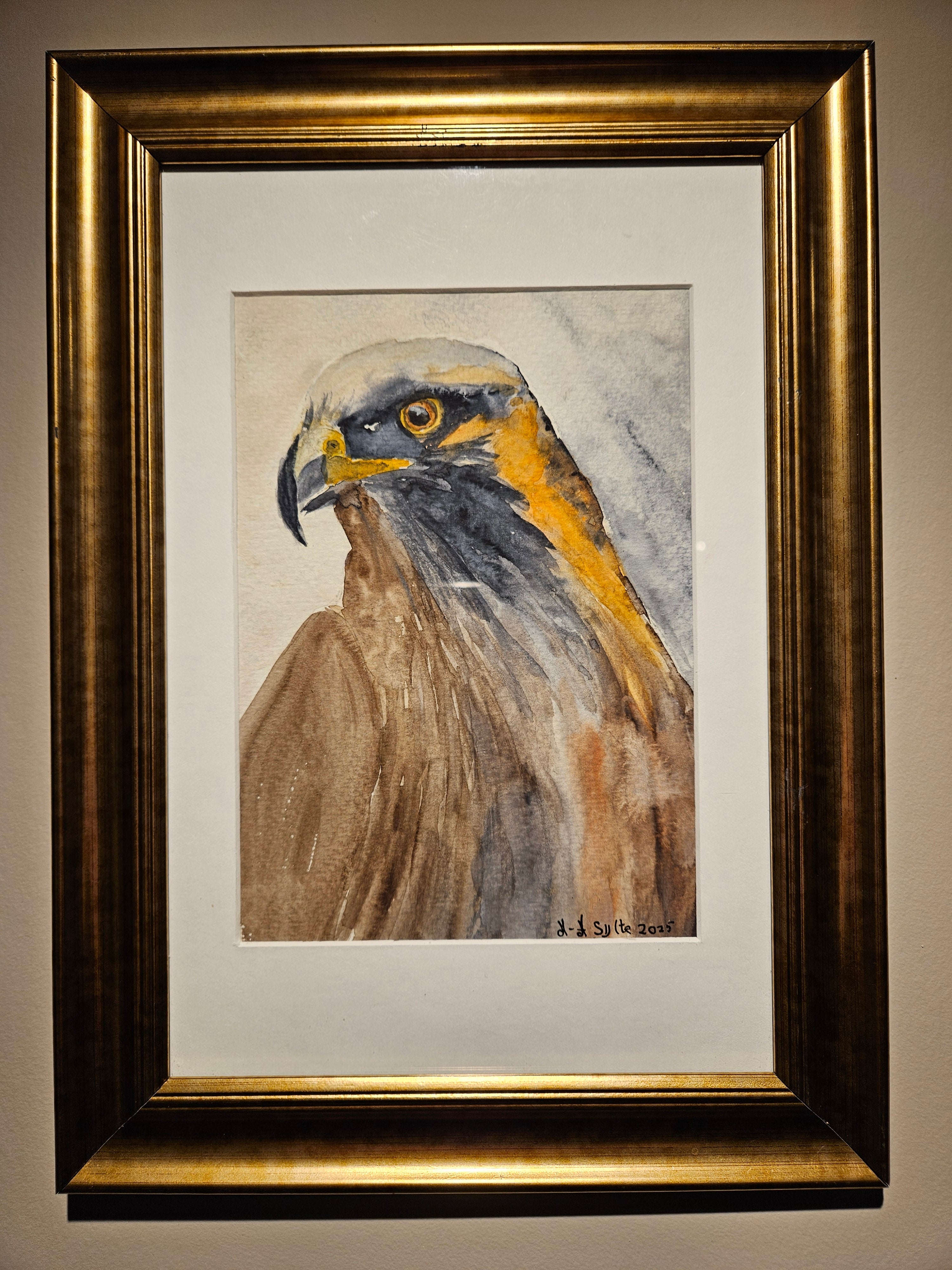 Ørn 1 - Medium Akvarell