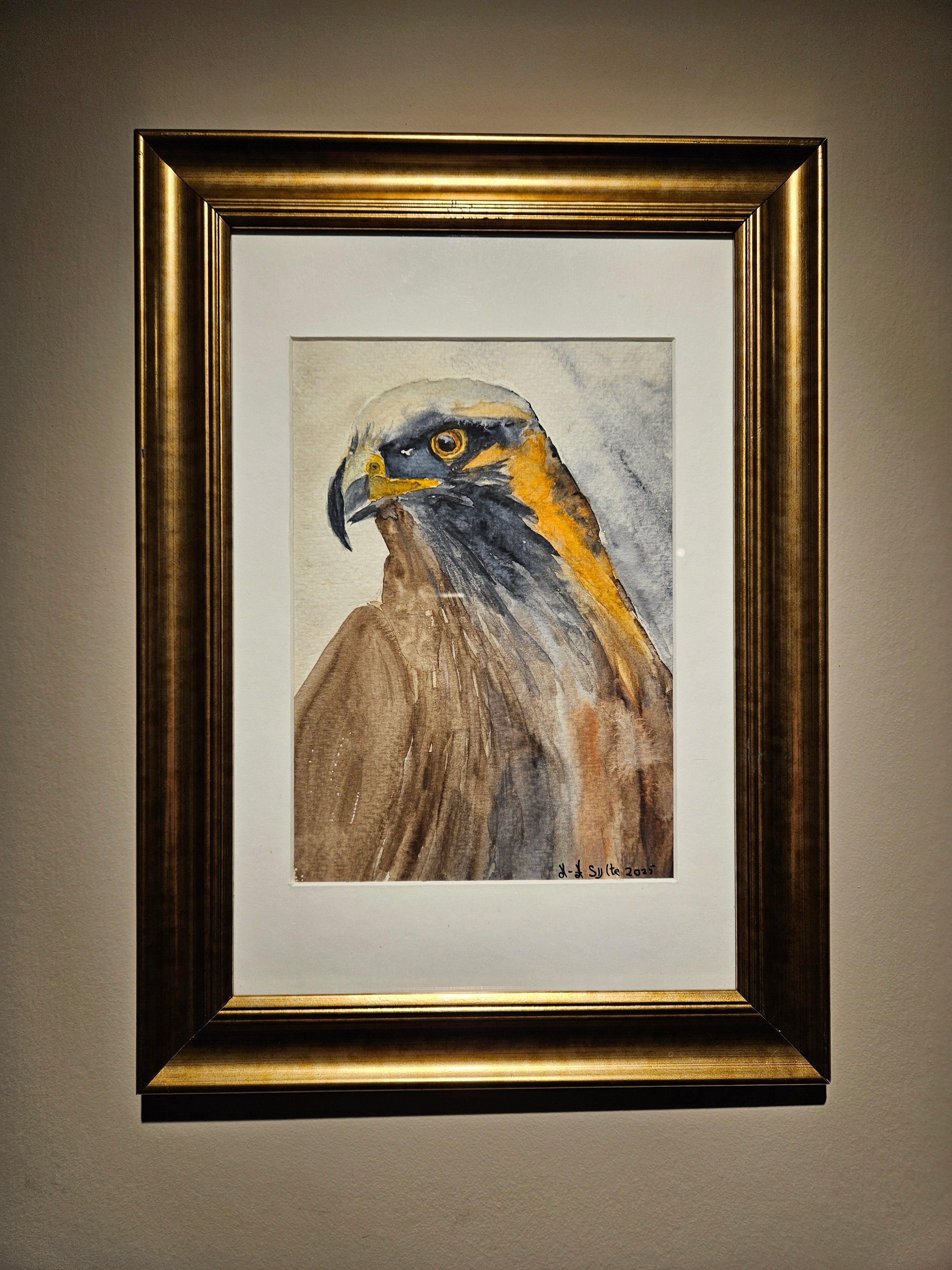 Ørn 1 - Medium Akvarell