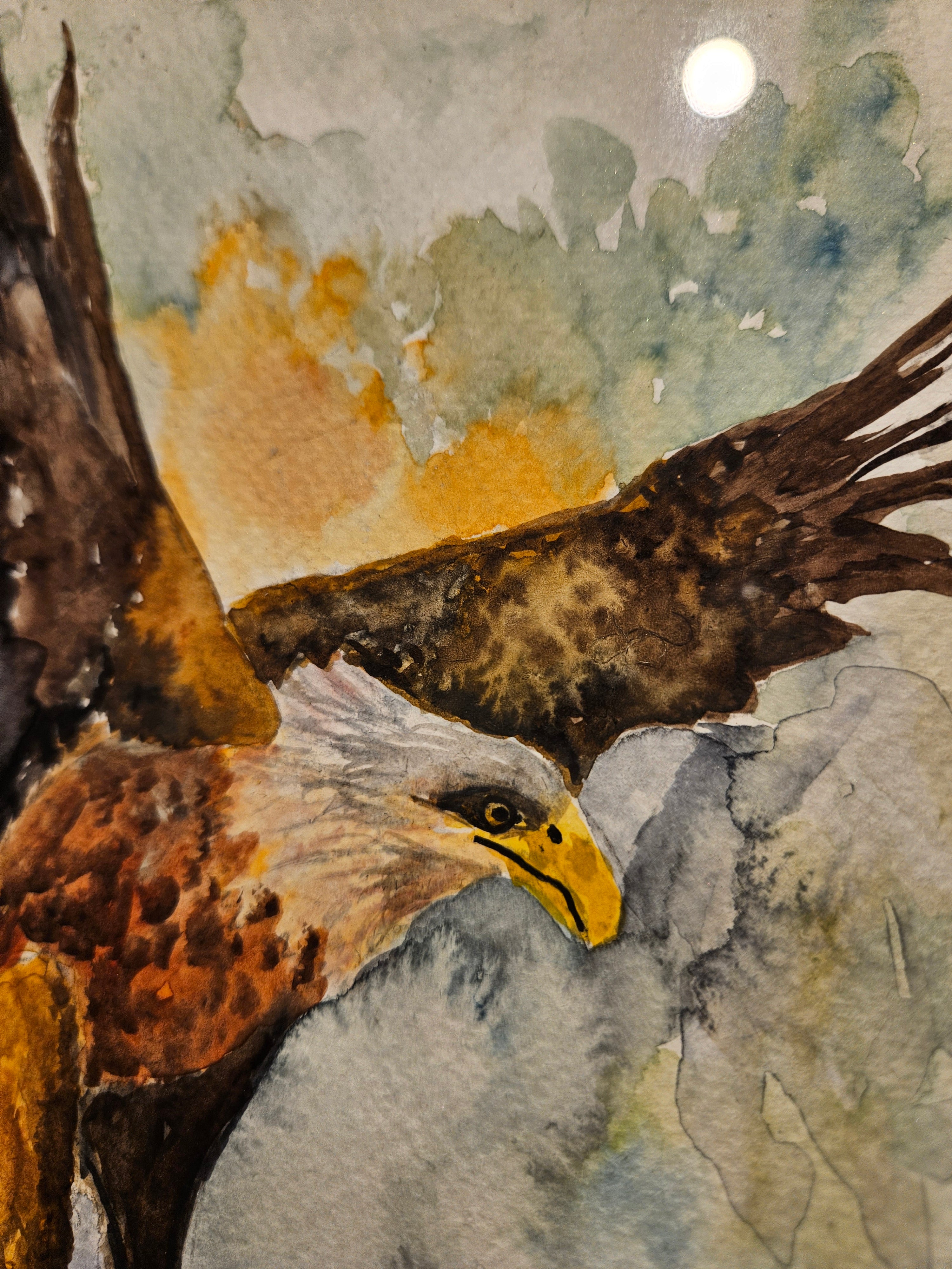 Ørn 5 - Stor Akvarell