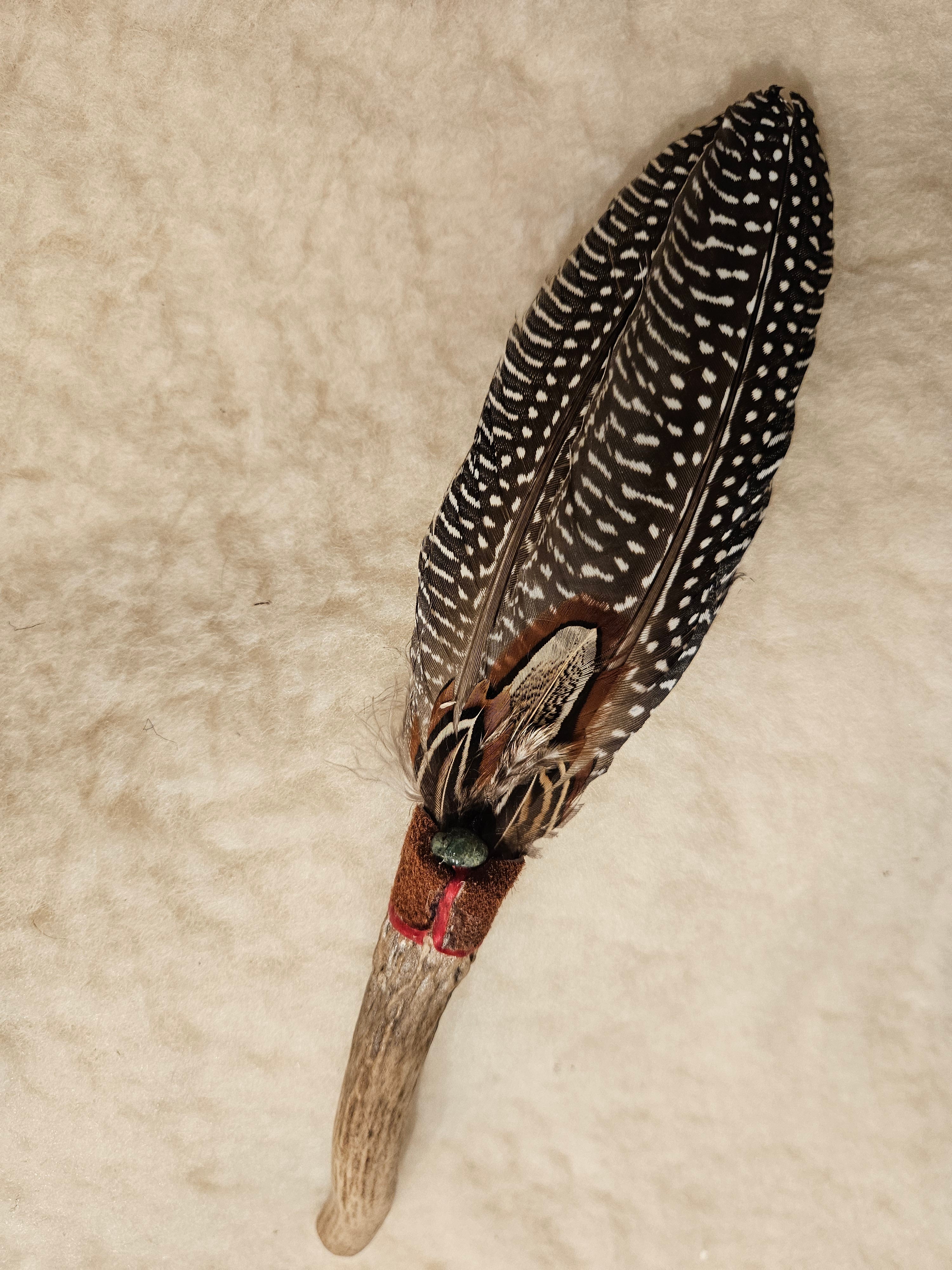 Fjærfane Kalkun og Gevir