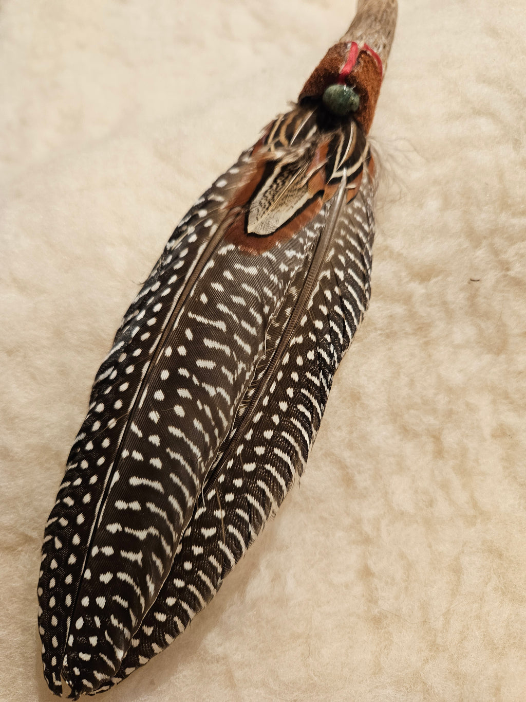 Fjærfane Kalkun og Gevir