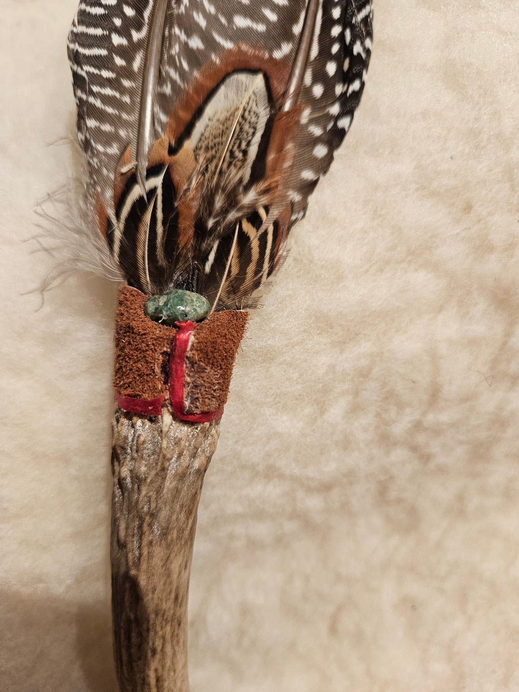 Fjærfane Kalkun og Gevir