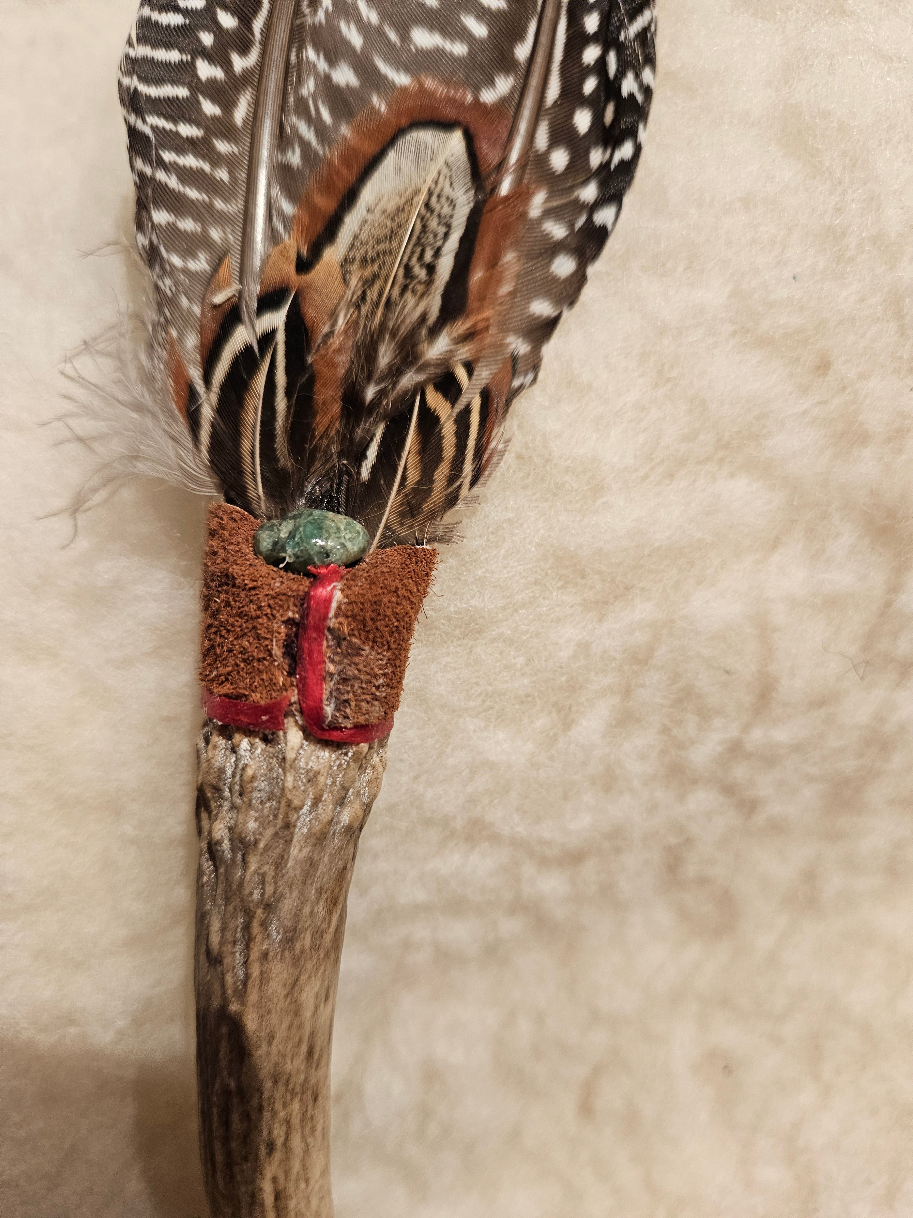 Fjærfane Kalkun og Gevir