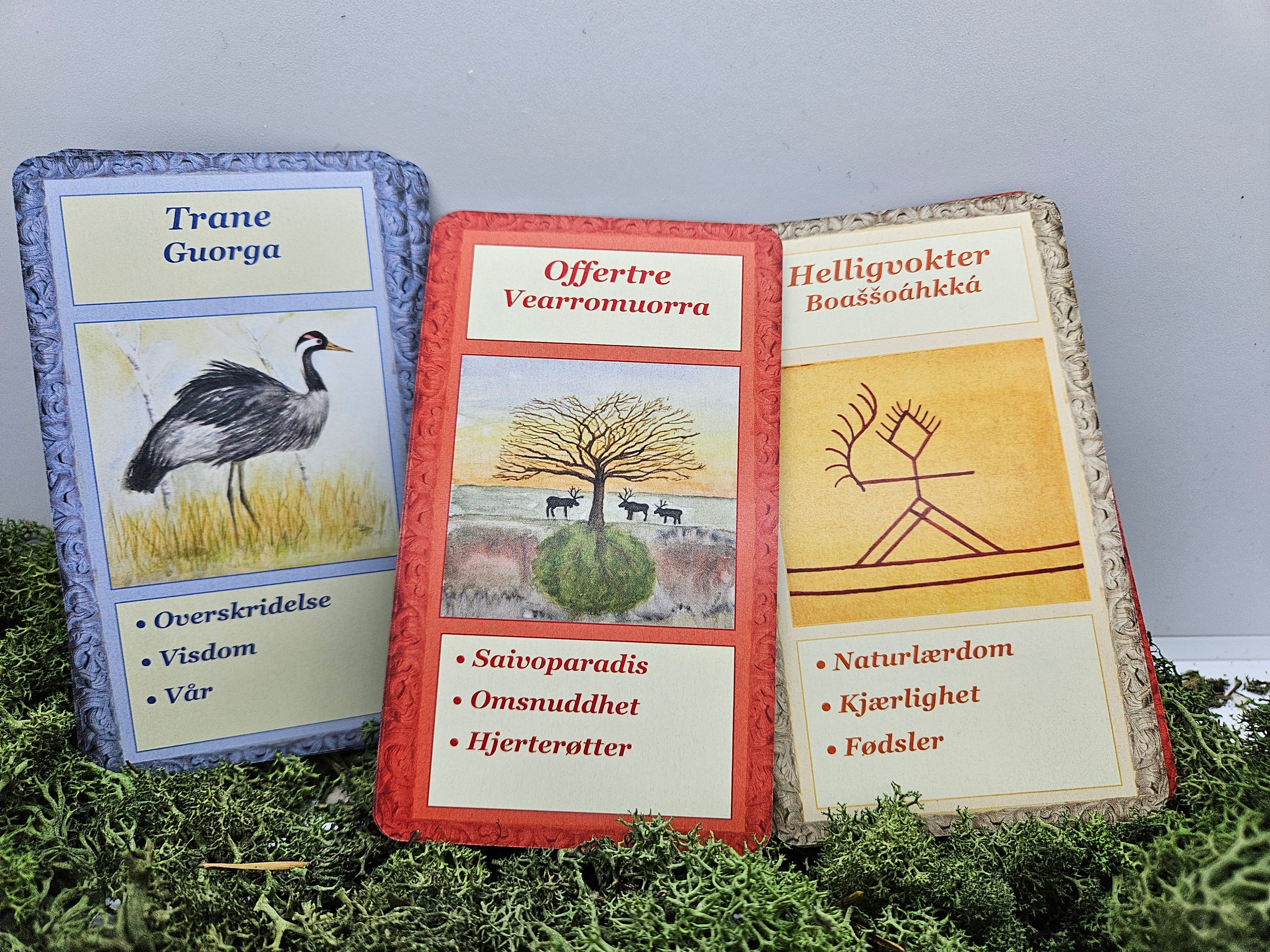 Sarahkkas Feminin - Samiske Orakelkort på Norsk