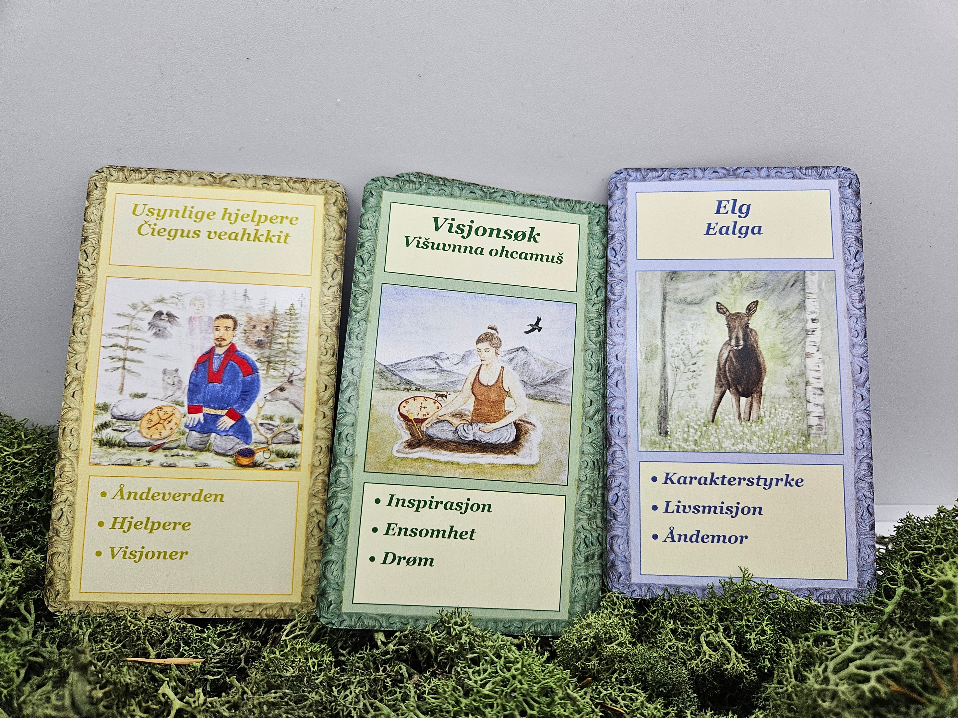 Sarahkkas Feminin - Samiske Orakelkort på Norsk