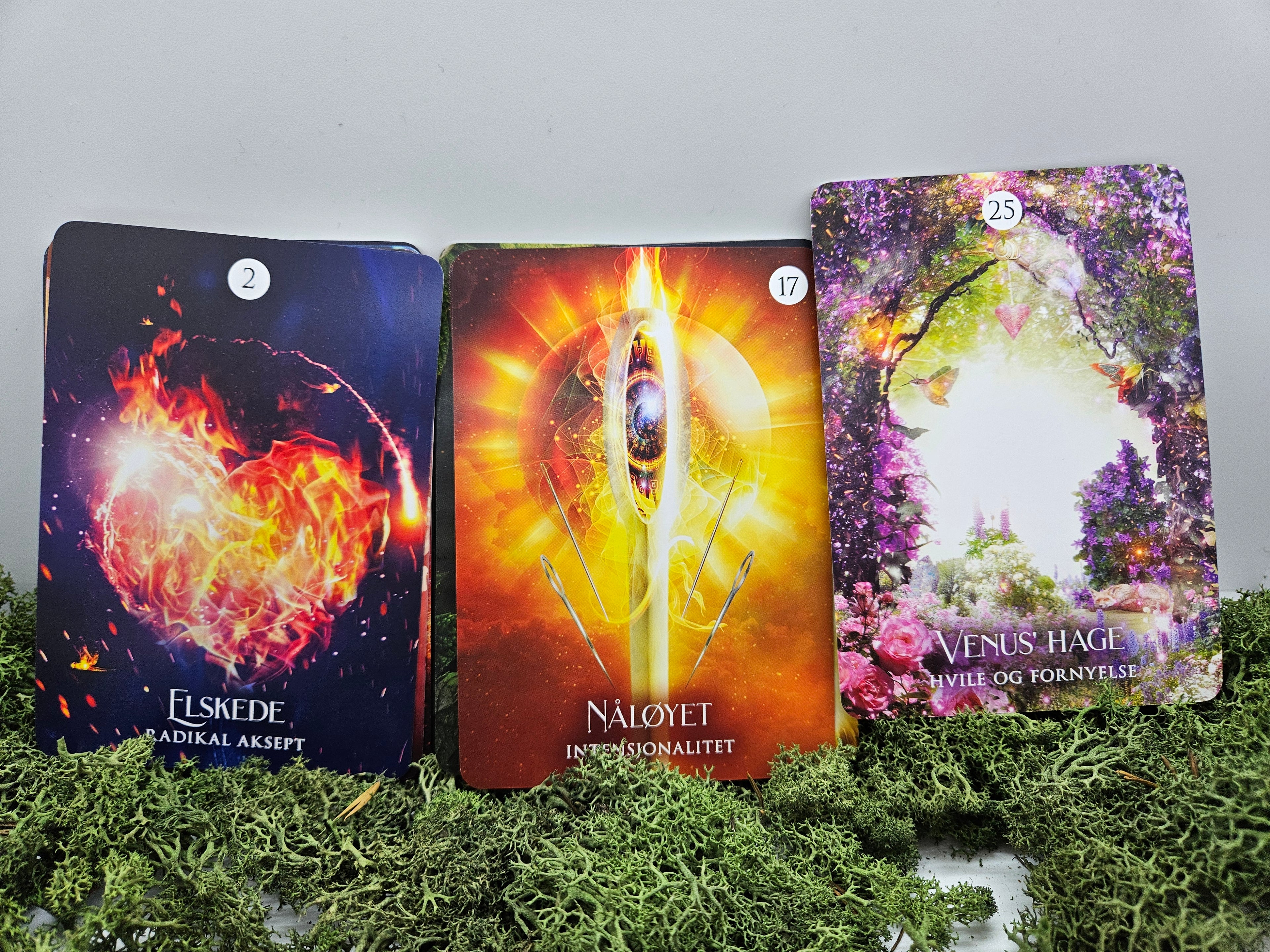 Sjamanens Drøm - Orakelkort på Norsk