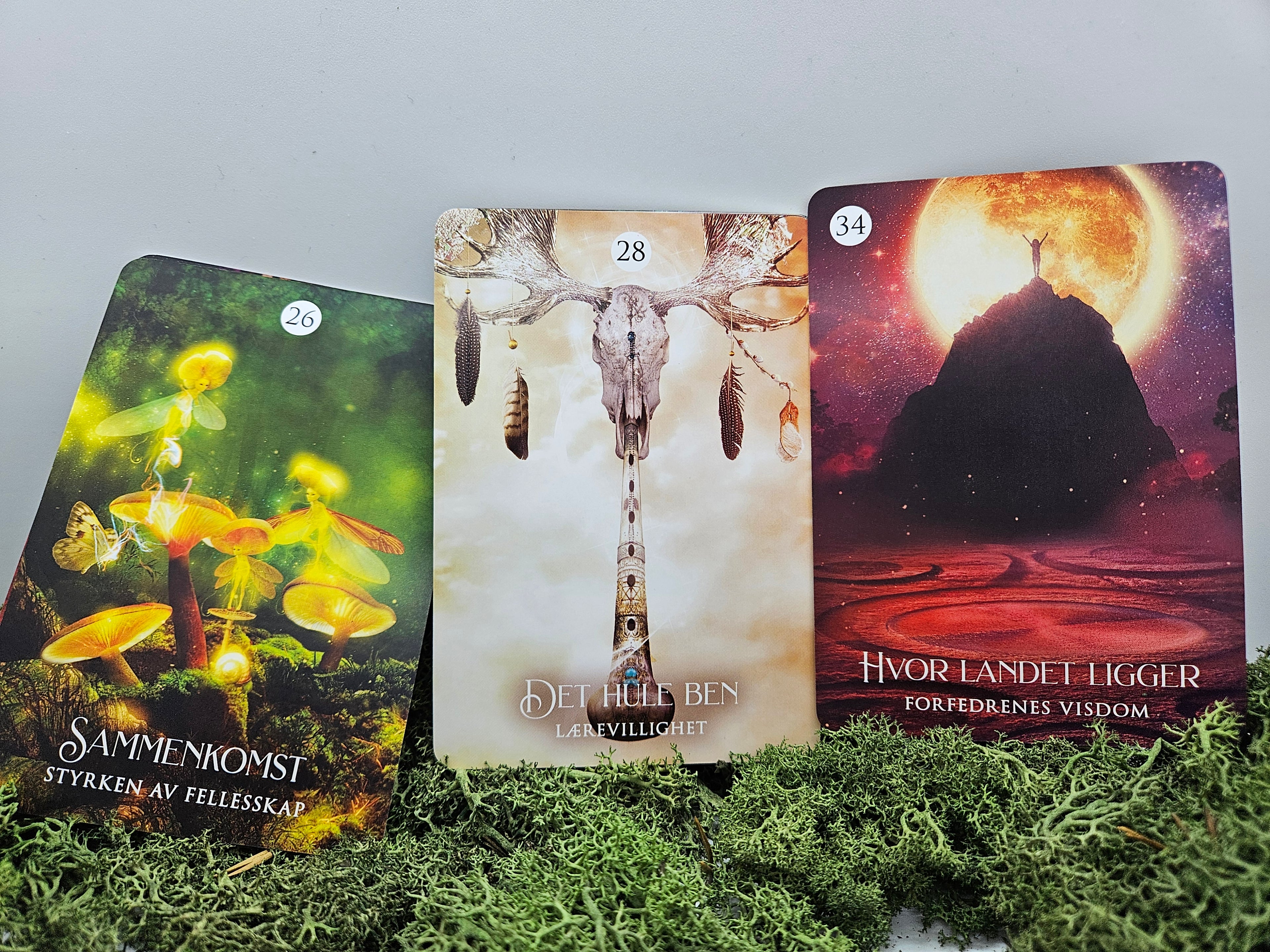 Sjamanens Drøm - Orakelkort på Norsk